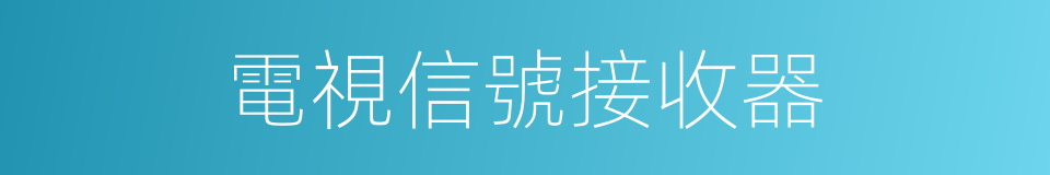 電視信號接收器的同義詞