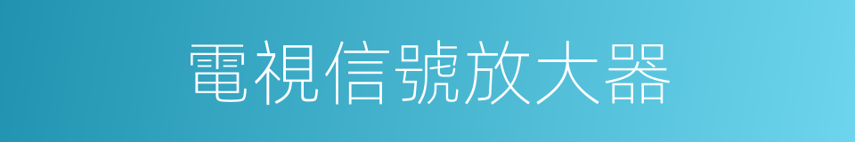 電視信號放大器的同義詞