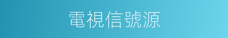 電視信號源的同義詞