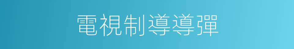 電視制導導彈的同義詞