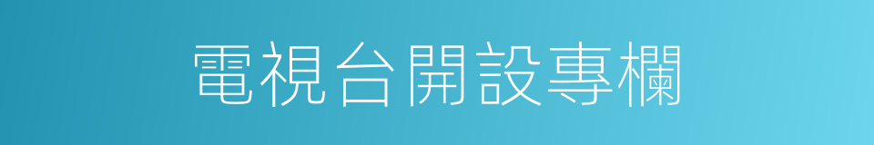 電視台開設專欄的同義詞