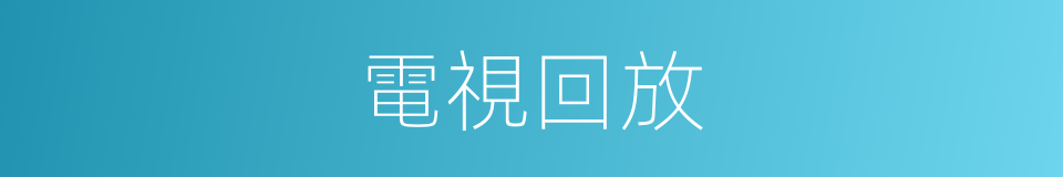 電視回放的同義詞