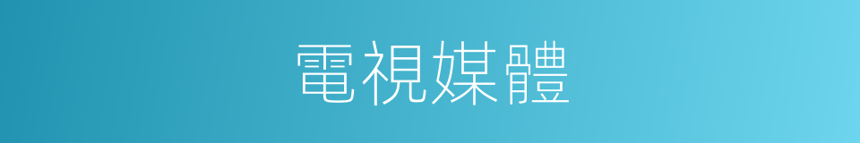 電視媒體的同義詞