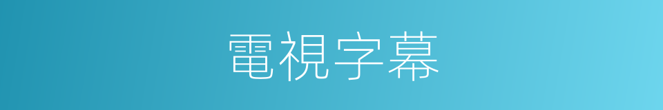電視字幕的同義詞