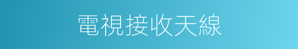 電視接收天線的同義詞