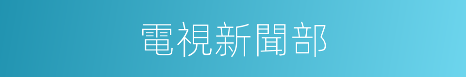 電視新聞部的同義詞