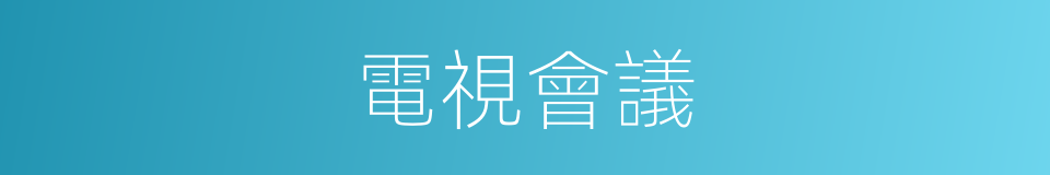 電視會議的意思