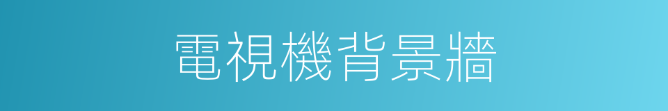 電視機背景牆的同義詞