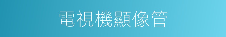 電視機顯像管的同義詞