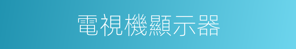 電視機顯示器的同義詞