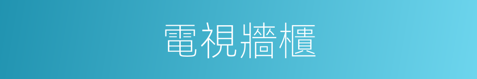 電視牆櫃的同義詞