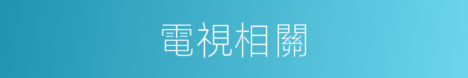 電視相關的同義詞