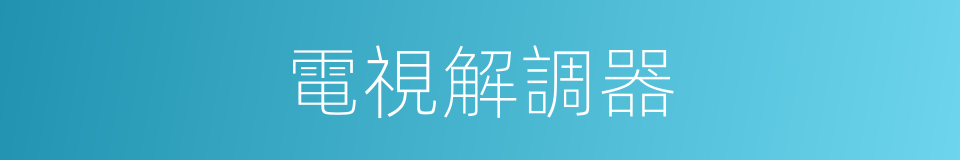 電視解調器的同義詞