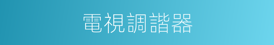 電視調諧器的同義詞