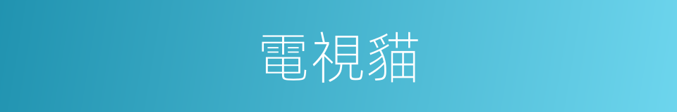 電視貓的同義詞