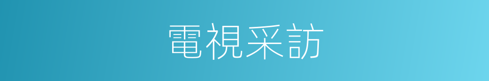 電視采訪的同義詞