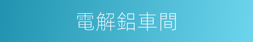 電解鋁車間的同義詞