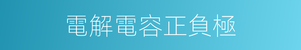 電解電容正負極的同義詞