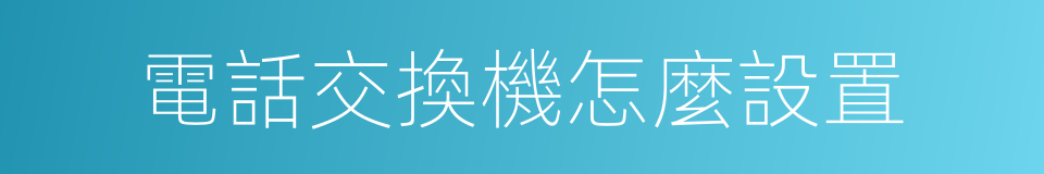 電話交換機怎麼設置的同義詞