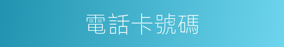 電話卡號碼的同義詞