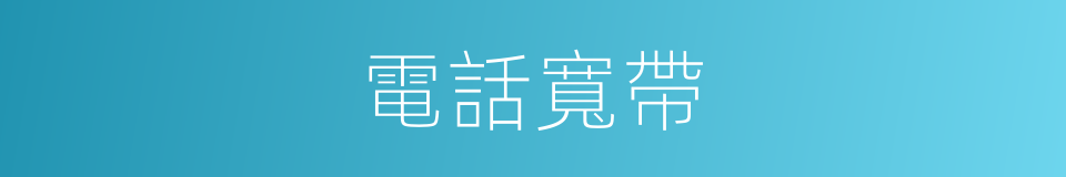 電話寬帶的同義詞