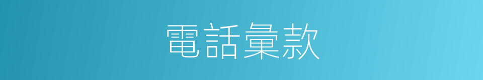 電話彙款的同義詞