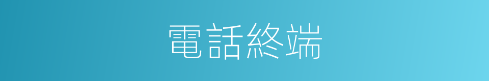 電話終端的同義詞