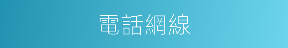 電話網線的同義詞