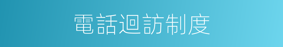 電話迴訪制度的同義詞