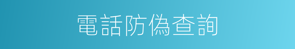 電話防偽查詢的同義詞