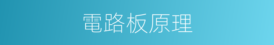 電路板原理的同義詞