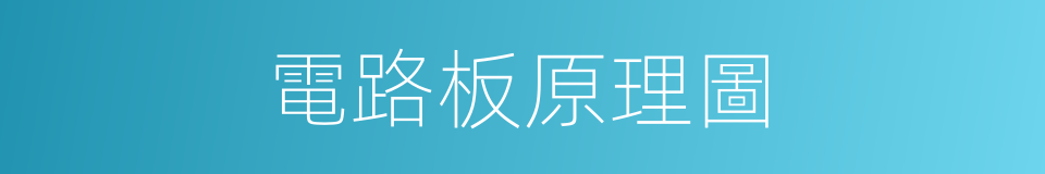 電路板原理圖的同義詞