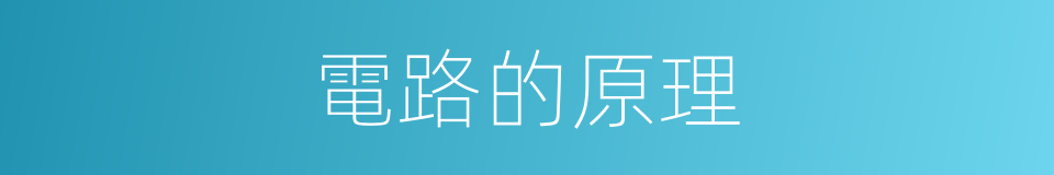 電路的原理的同義詞