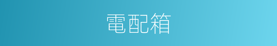 電配箱的同義詞