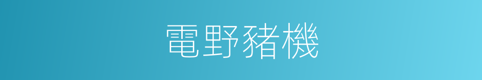 電野豬機的同義詞