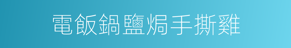 電飯鍋鹽焗手撕雞的同義詞