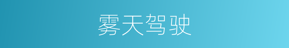 雾天驾驶的同义词