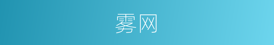 雾网的意思