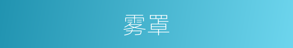 雾罩的意思