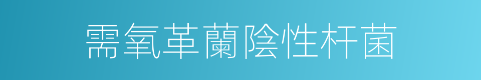 需氧革蘭陰性杆菌的同義詞