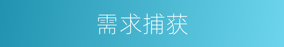 需求捕获的同义词