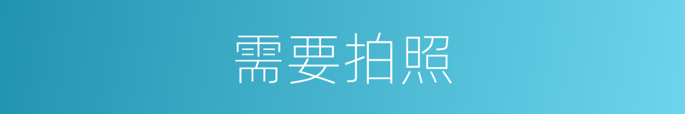 需要拍照的同义词