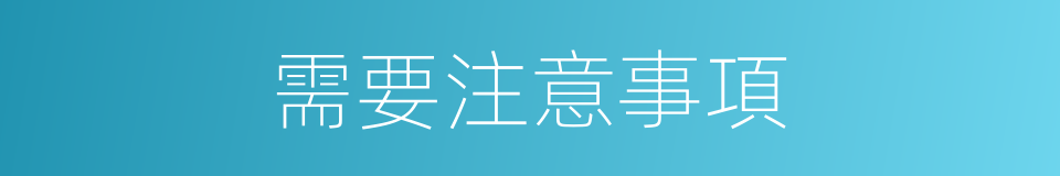 需要注意事項的同義詞