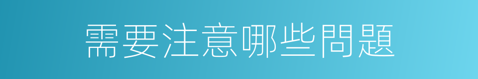 需要注意哪些問題的同義詞