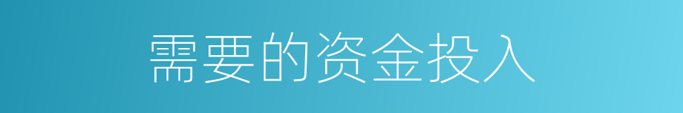 需要的资金投入的同义词