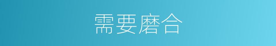 需要磨合的同义词