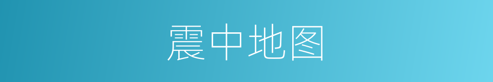 震中地图的同义词