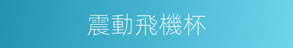 震動飛機杯的同義詞