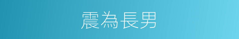 震為長男的同義詞