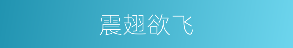 震翅欲飞的同义词